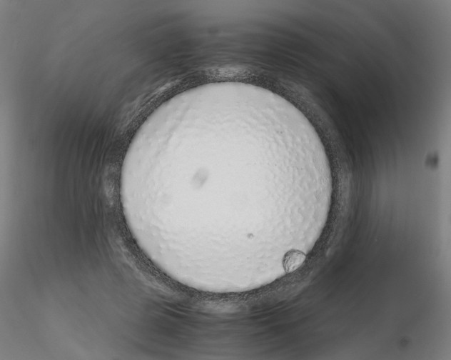X0000115640545200912221312