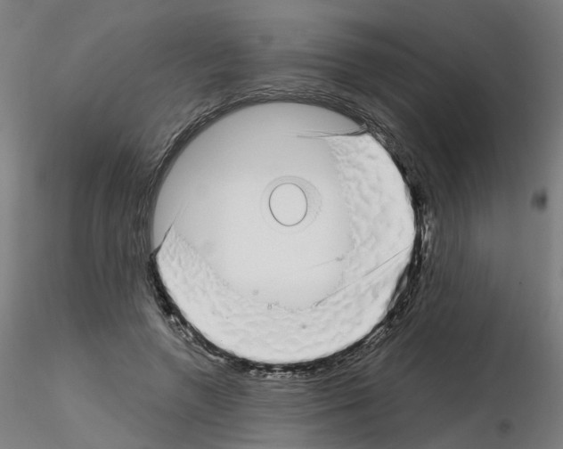 X0000115640546200912221312