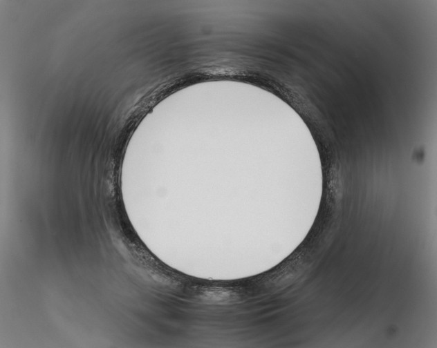 X0000115640547200912221312