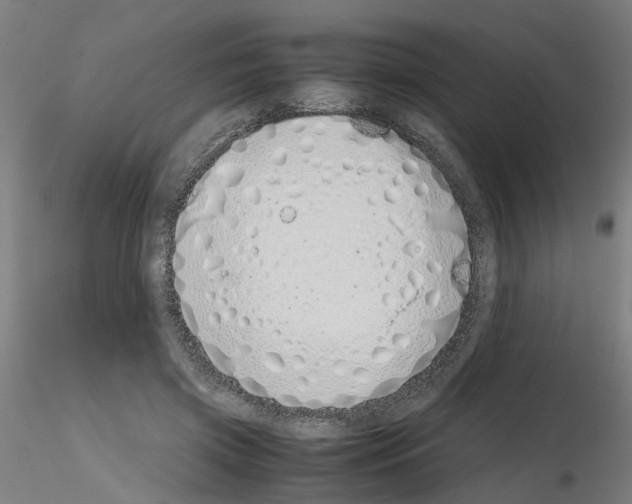 X0000115640549200912221312