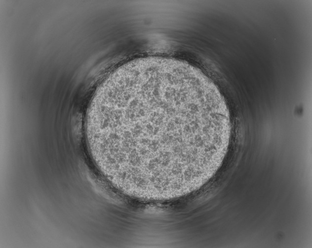 X0000115640550200912221312