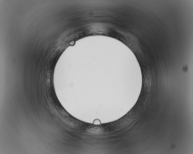 X0000115640551200912221312