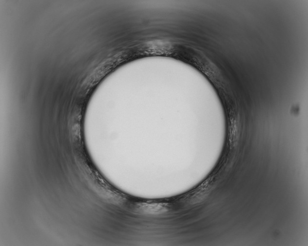 X0000115640553200912221312