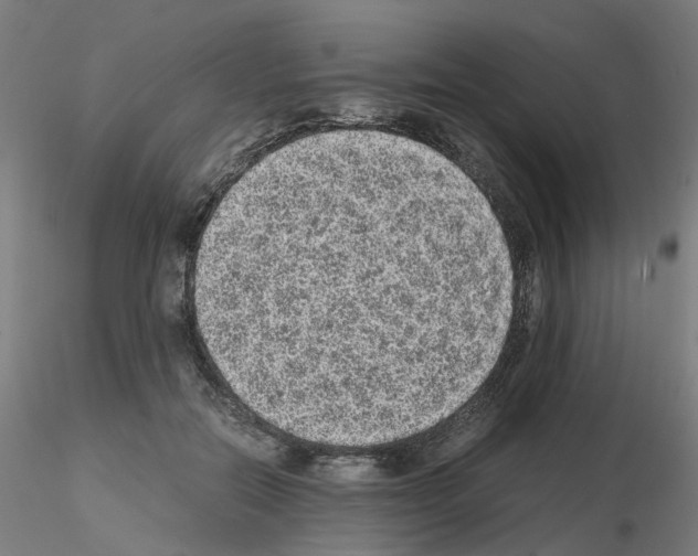 X0000115640554200912221312