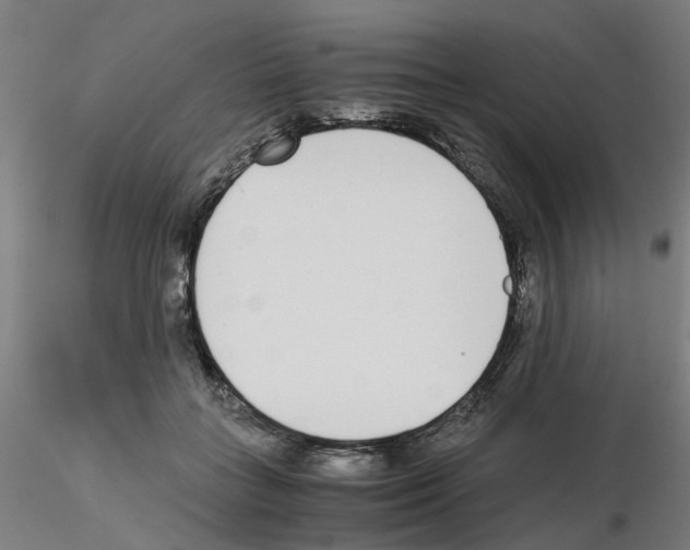 X0000115640555200912221312