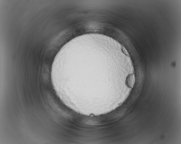 X0000115640557200912221312
