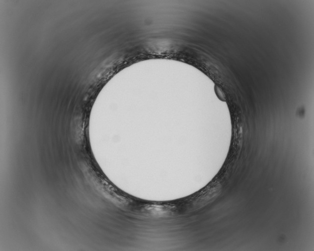 X0000115640558200912221312
