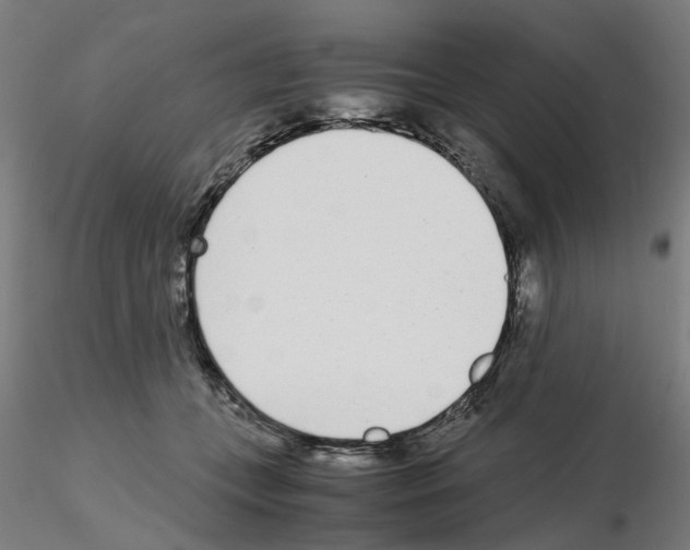 X0000115640559200912221312