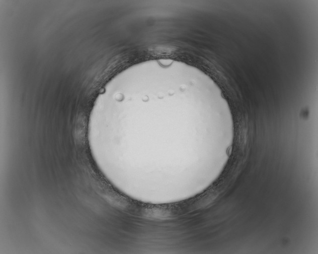 X0000115640561200912221312