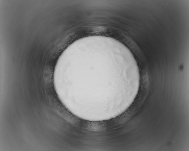 X0000115640565200912221312