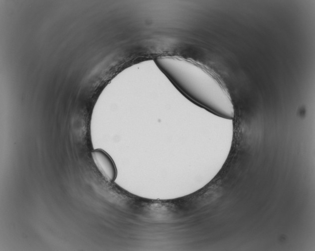 X0000115640566200912221312