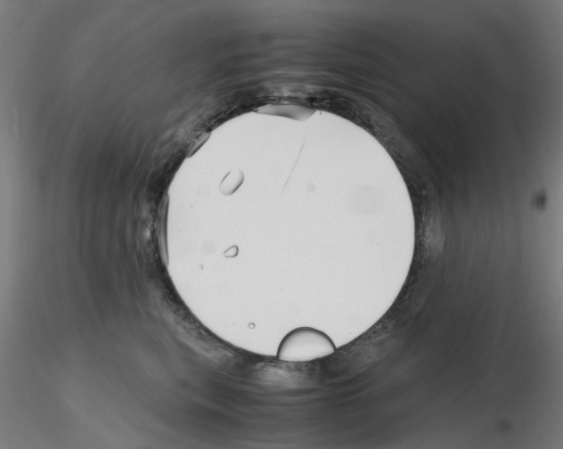 X0000115640567200912221312