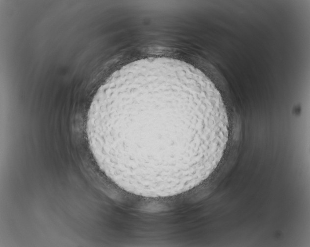 X0000115640569200912221312
