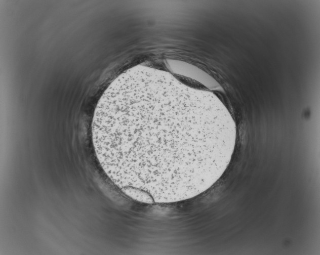 X0000115640570200912221312