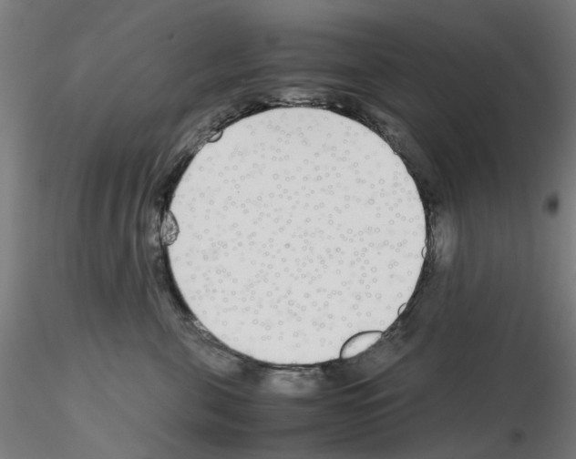 X0000115640571200912221312