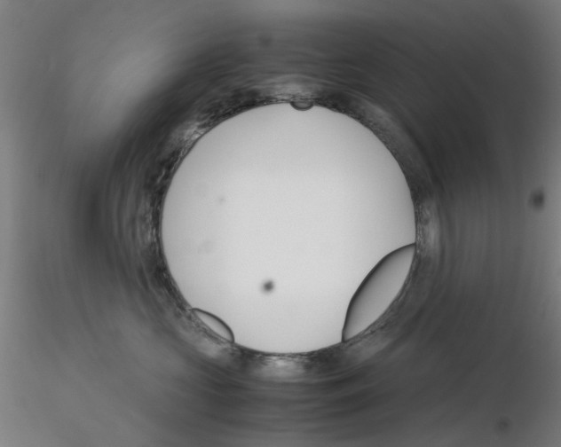 X0000115640573200912221312