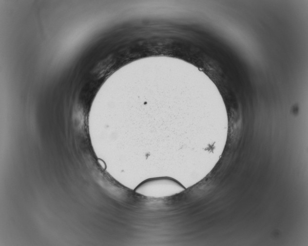 X0000115640574200912221312