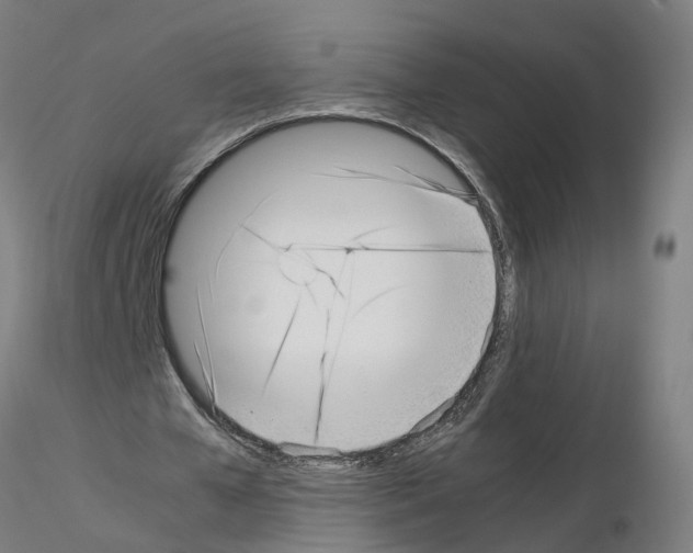 X0000115640577200912221312