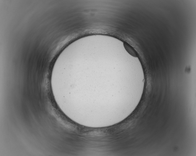 X0000115640578200912221312