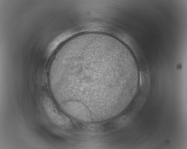 X0000115640579200912221312