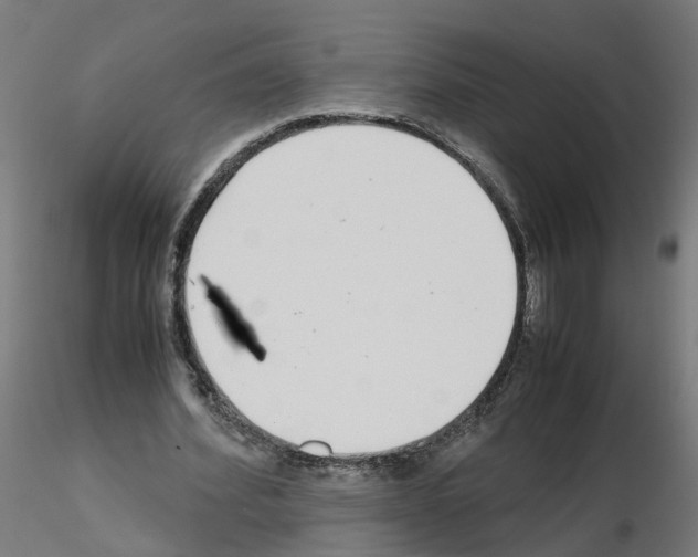 X0000115640580200912221312