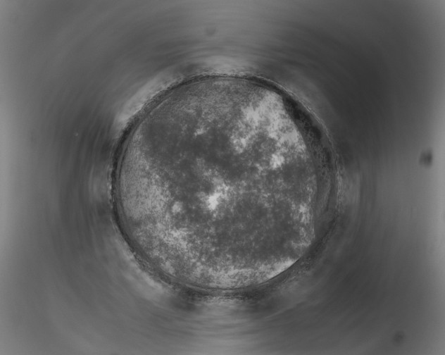 X0000115640581200912221312