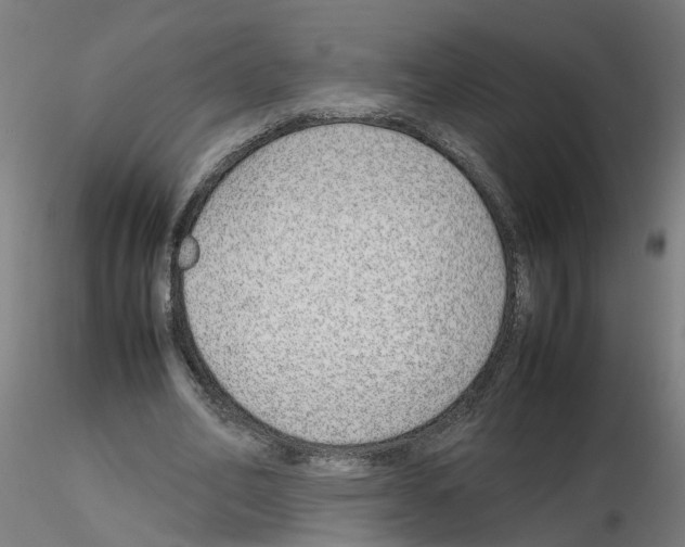 X0000115640582200912221312