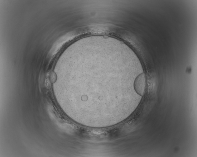 X0000115640583200912221312
