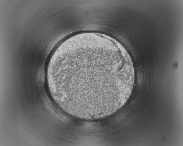 X0000115640584200912221312