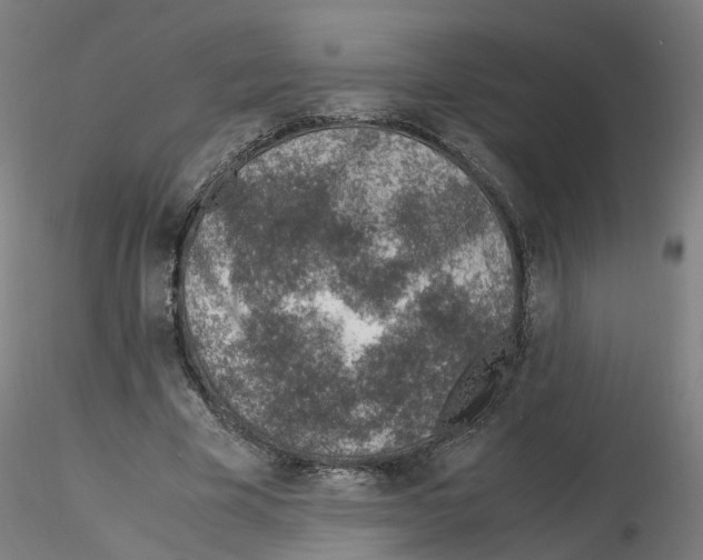 X0000115640585200912221312