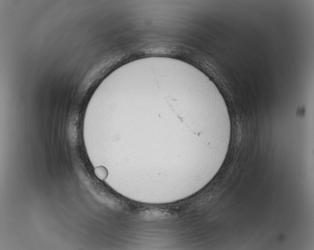 X0000115640586200912221312