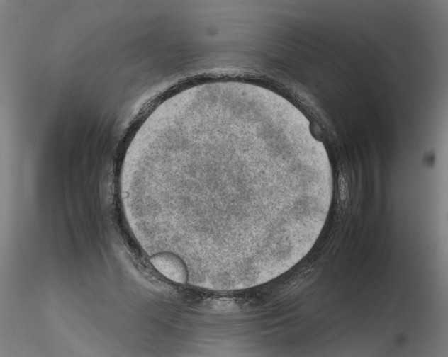 X0000115640588200912221312