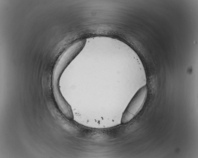 X0000115640589200912221312