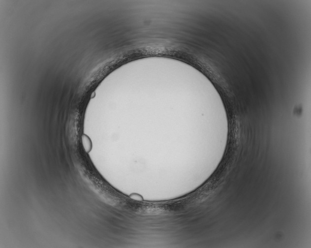 X0000115640590200912221312