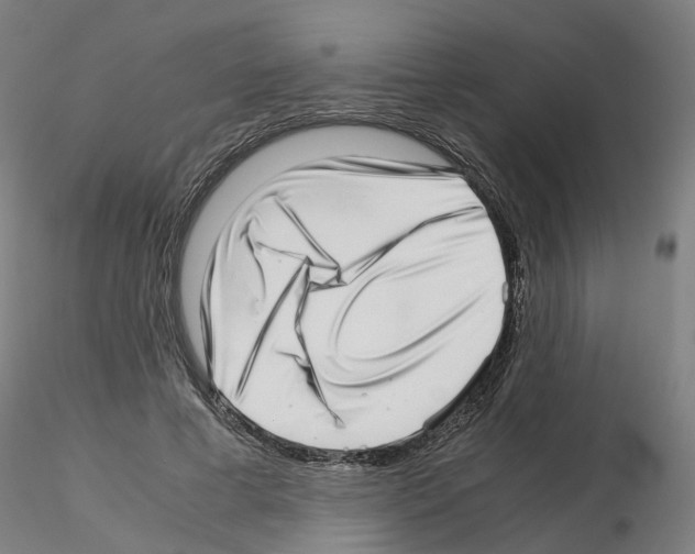 X0000115640593200912221312