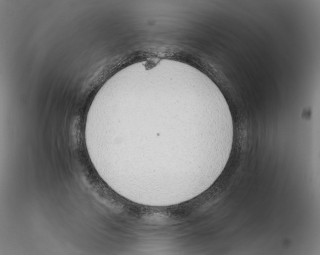X0000115640594200912221312