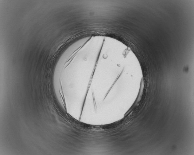 X0000115640595200912221312