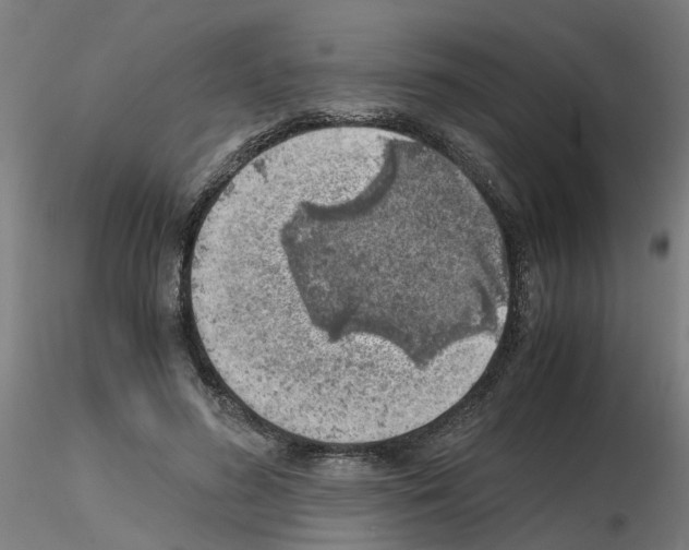 X0000115640596200912221312