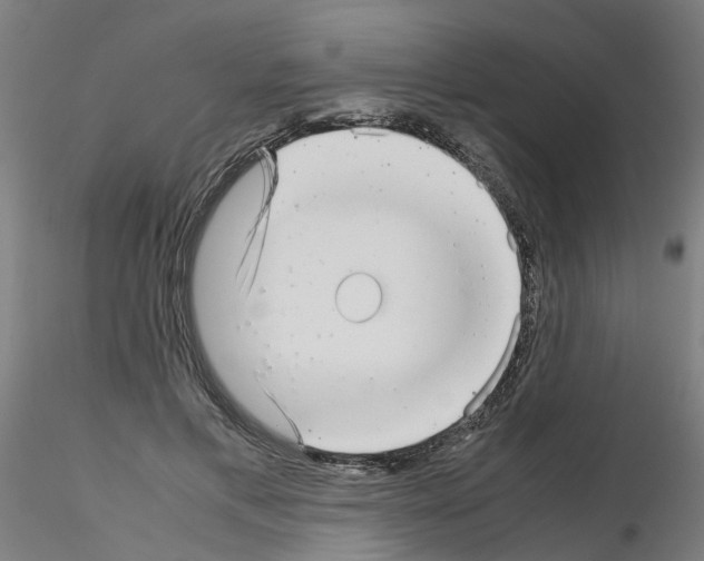 X0000115640597200912221312