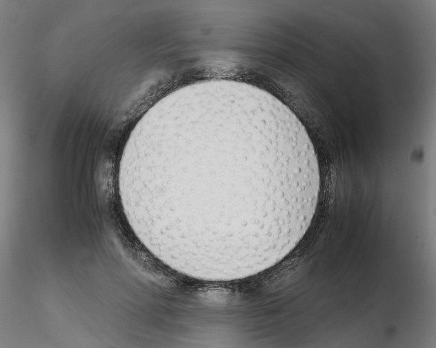 X0000115640598200912221312