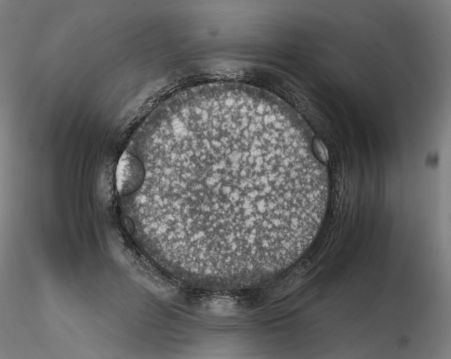 X0000115640600200912221312