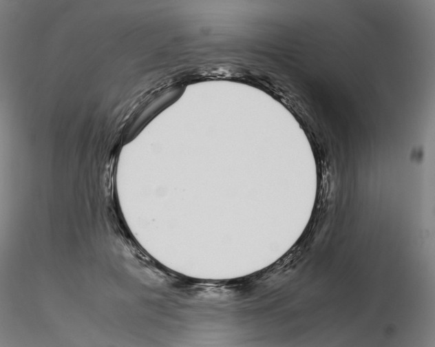 X0000115640601200912221312