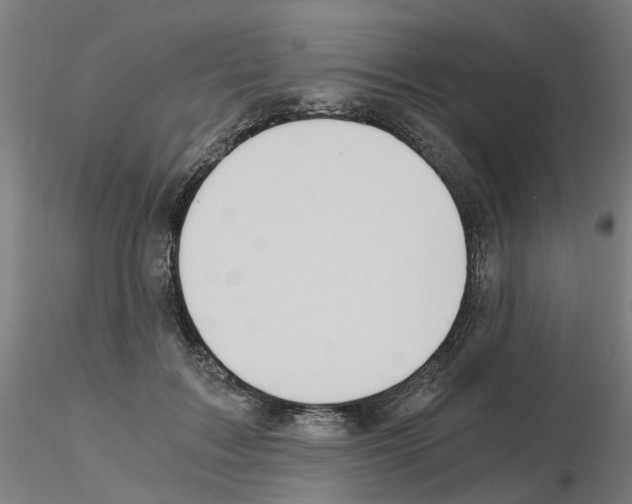 X0000115640603200912221311