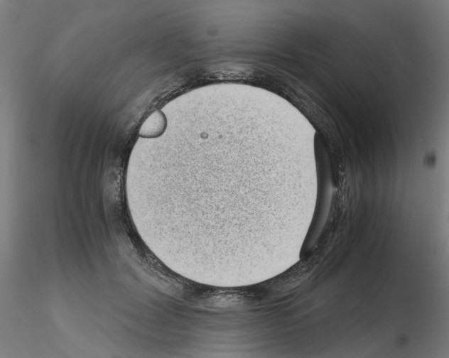 X0000115640604200912221311