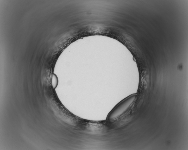 X0000115640605200912221311
