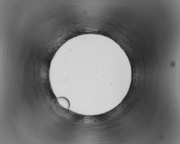 X0000115640608200912221311