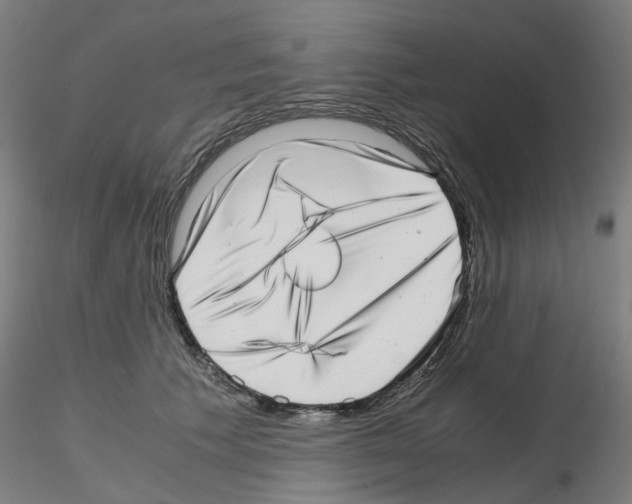 X0000115640609200912221311