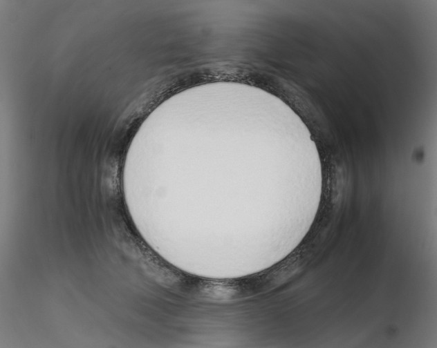 X0000115640610200912221311