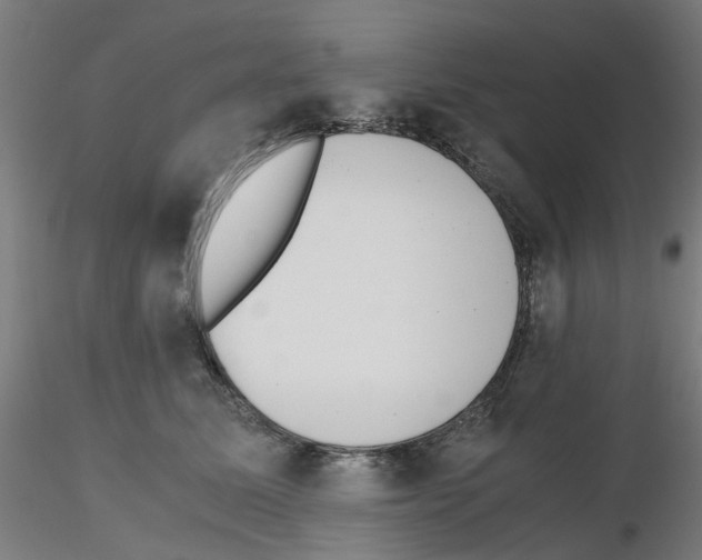 X0000115640611200912221311