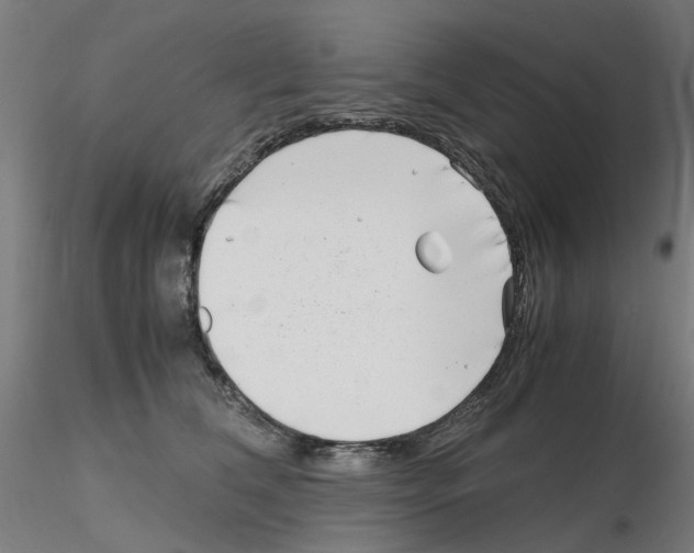X0000115640612200912221311